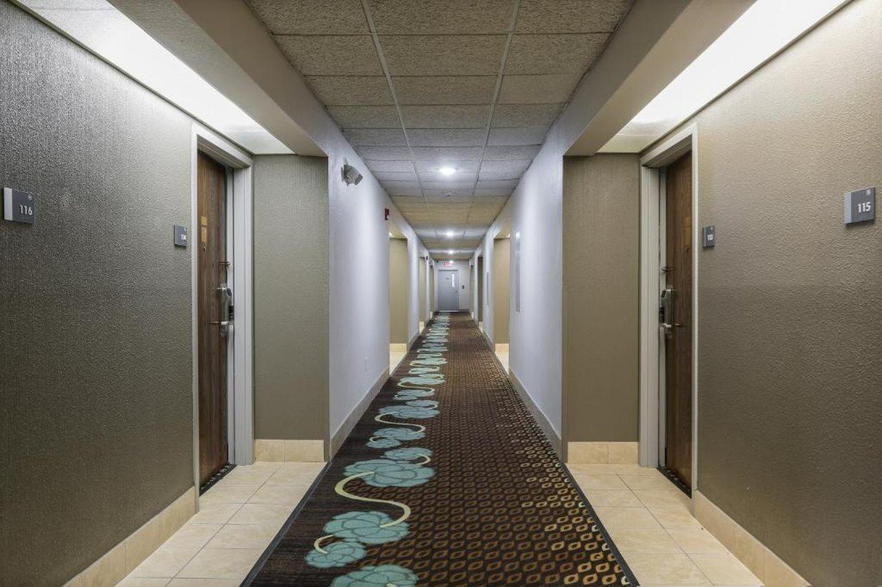 Bliss Point Inn & Suites 뉴 버팔로 외부 사진